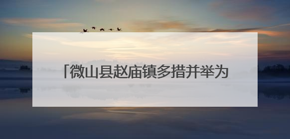 微山县赵庙镇多措并举为绿化苗木“补水解渴”
